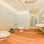 Bg *